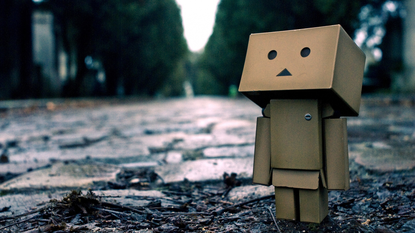 Brown Cardboard Box on Ground. Wallpaper in 1366x768 Resolution