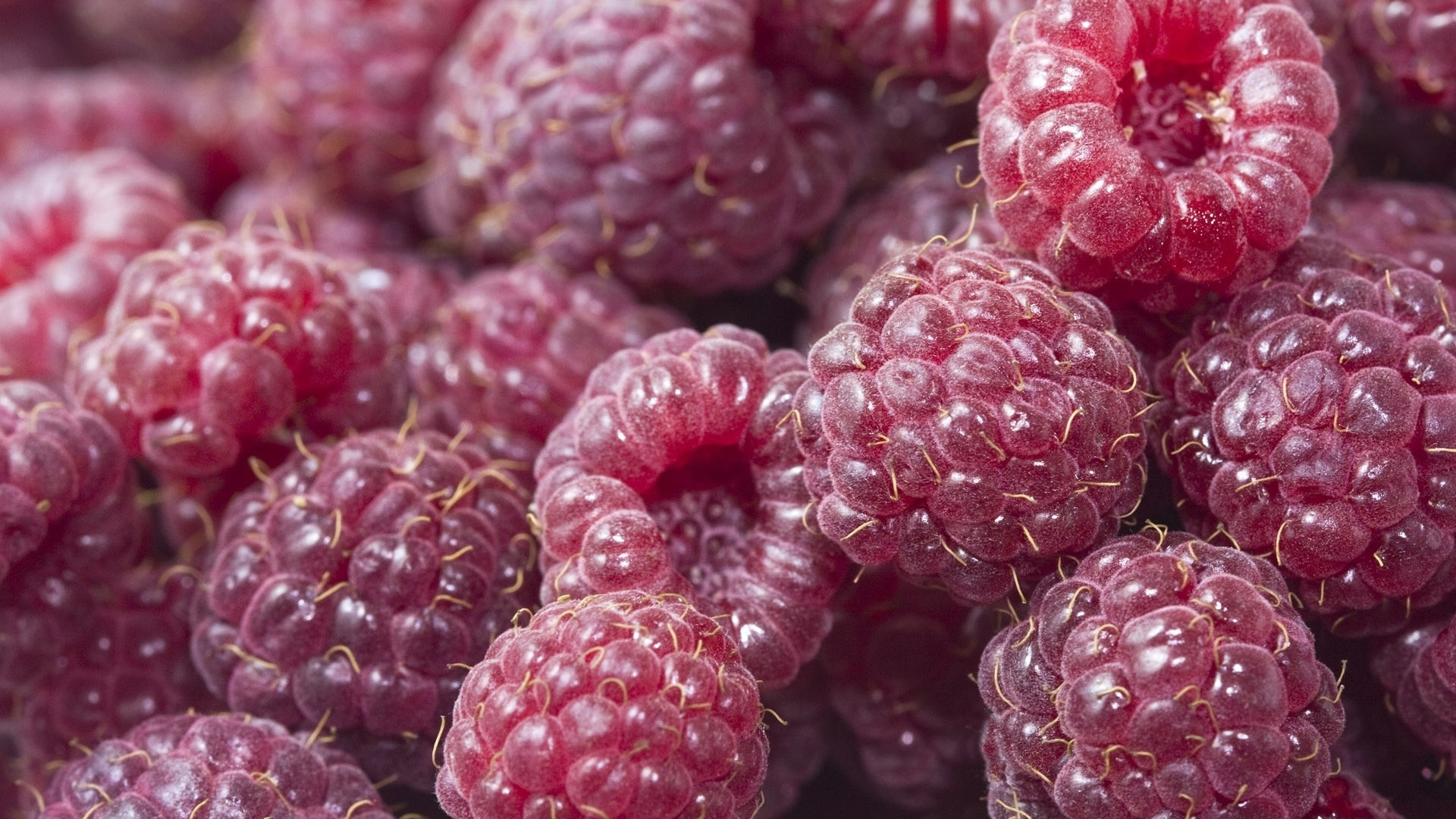 Pink Round Fruits in Close up Photography. Wallpaper in 1920x1080 Resolution