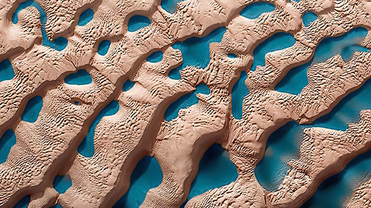 Agua, Mar, Biología Marina, Azure, Textil. Wallpaper in 1280x720 Resolution