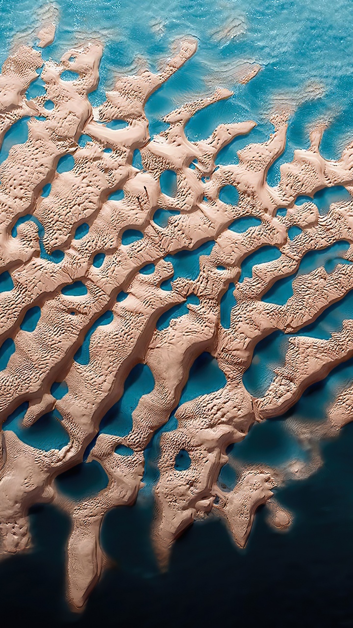 Eau, Mer, Biologie Marine, Azure, Textile. Wallpaper in 720x1280 Resolution