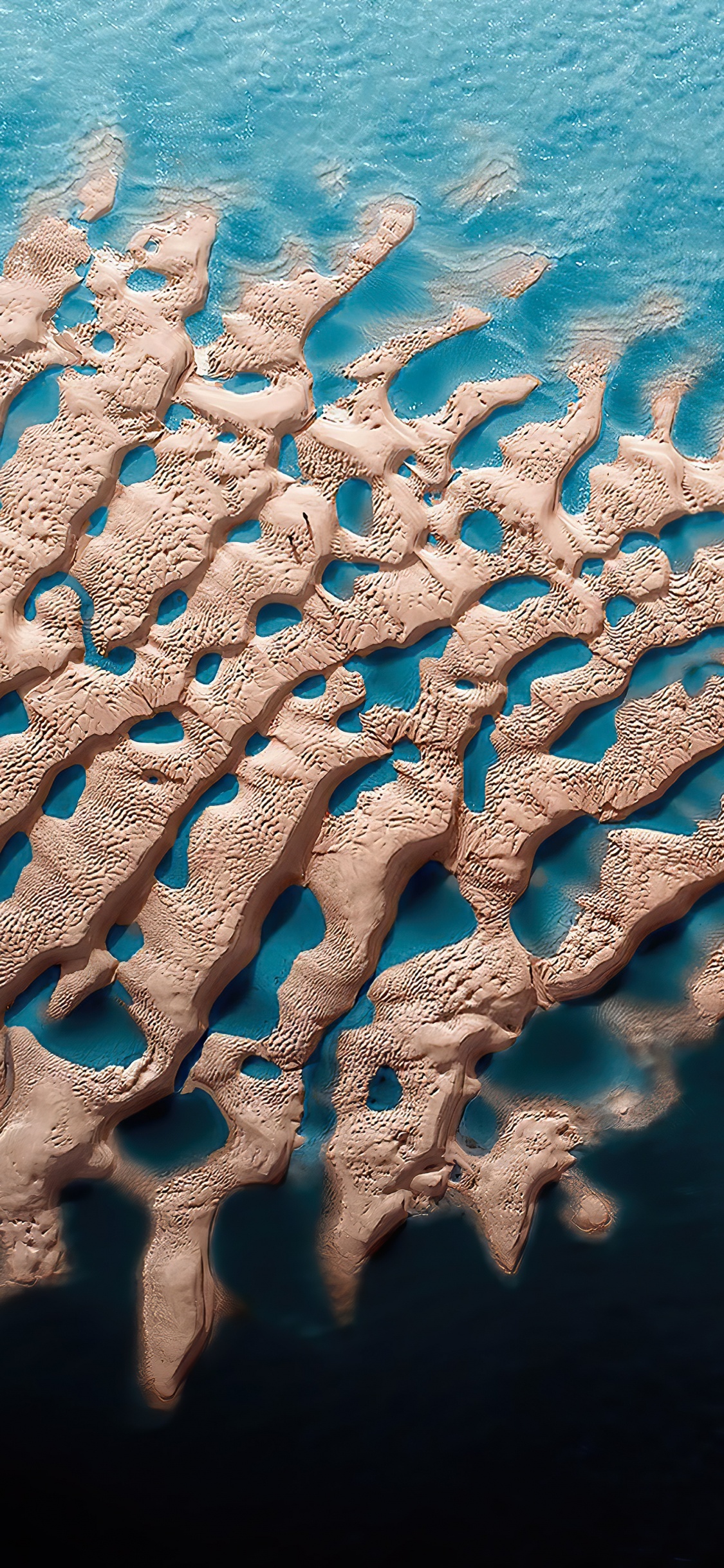 Water, Sea, Marine Biology, Azure, Textile. Wallpaper in 1125x2436 Resolution