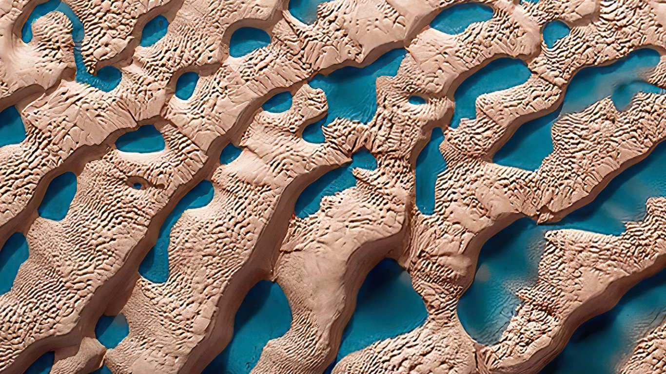 Water, Sea, Marine Biology, Azure, Textile. Wallpaper in 1366x768 Resolution