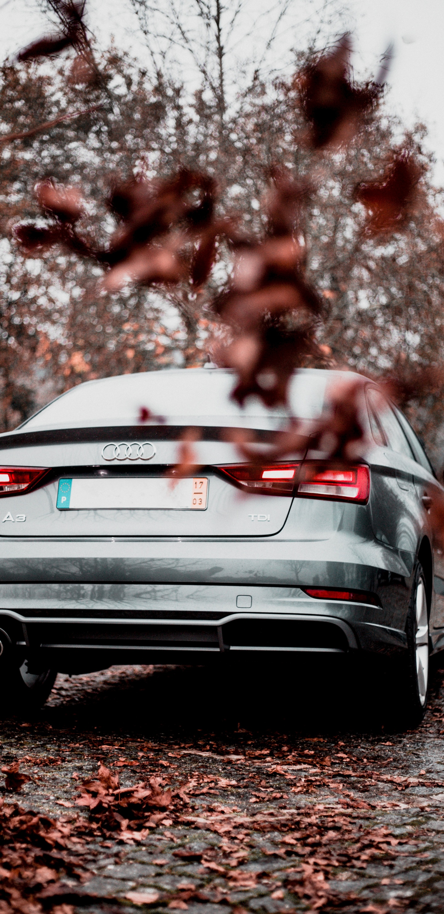 White Bmw Car on Road During Daytime. Wallpaper in 1440x2960 Resolution