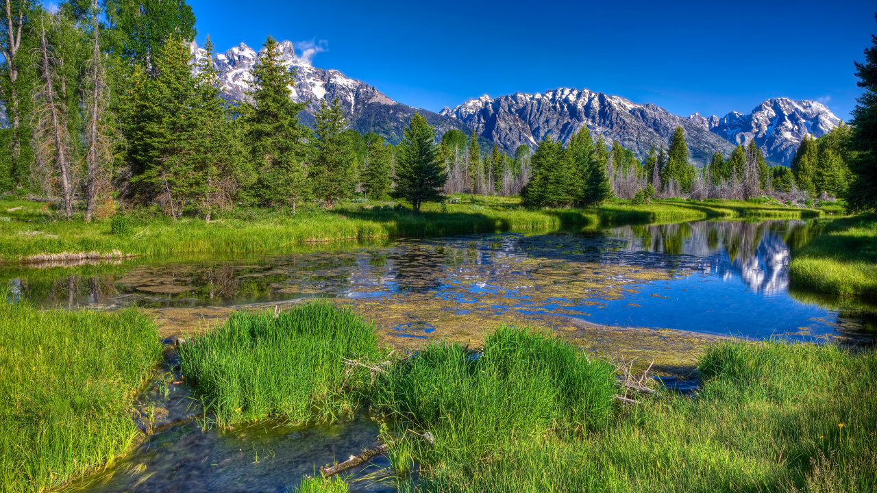 Green Grass Field Near Lake Under Blue Sky During Daytime. Wallpaper in 1280x720 Resolution