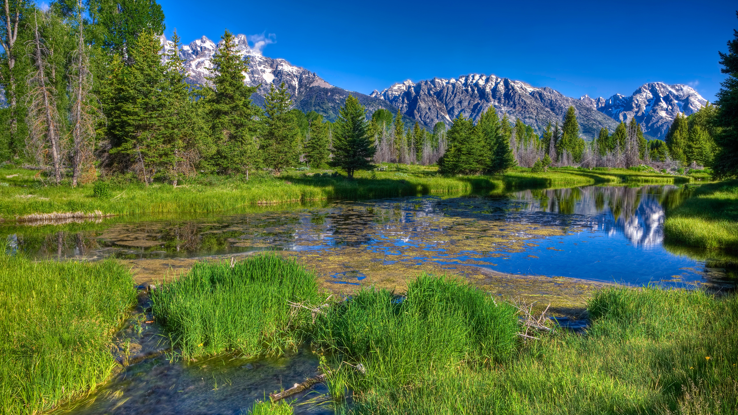 Green Grass Field Near Lake Under Blue Sky During Daytime. Wallpaper in 2560x1440 Resolution