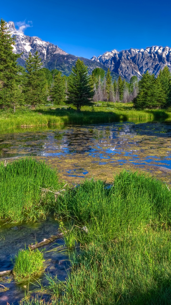 Green Grass Field Near Lake Under Blue Sky During Daytime. Wallpaper in 720x1280 Resolution