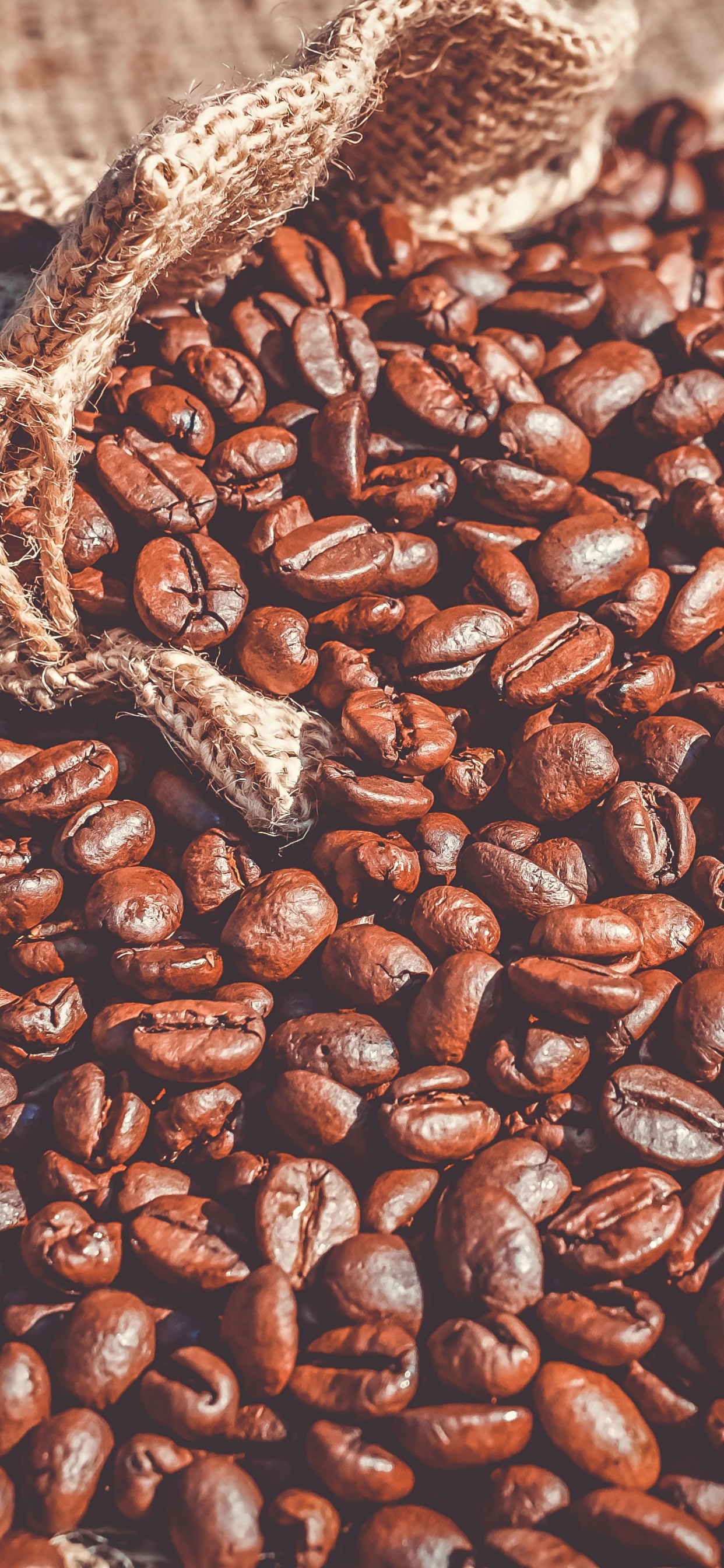 Braune Kaffeebohnen Auf Braunem Sand. Wallpaper in 1242x2688 Resolution