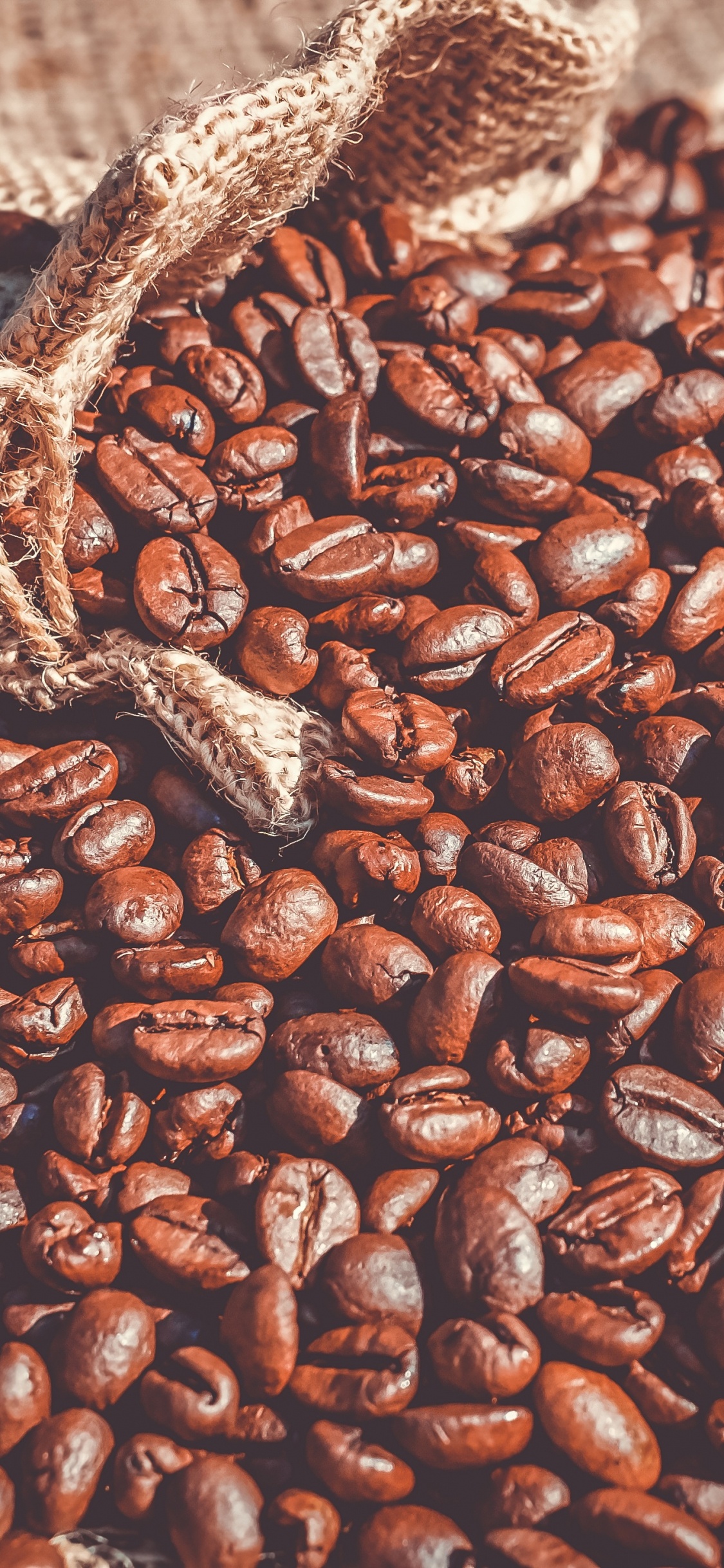 Grains de Café Bruns Sur Sable Brun. Wallpaper in 1125x2436 Resolution