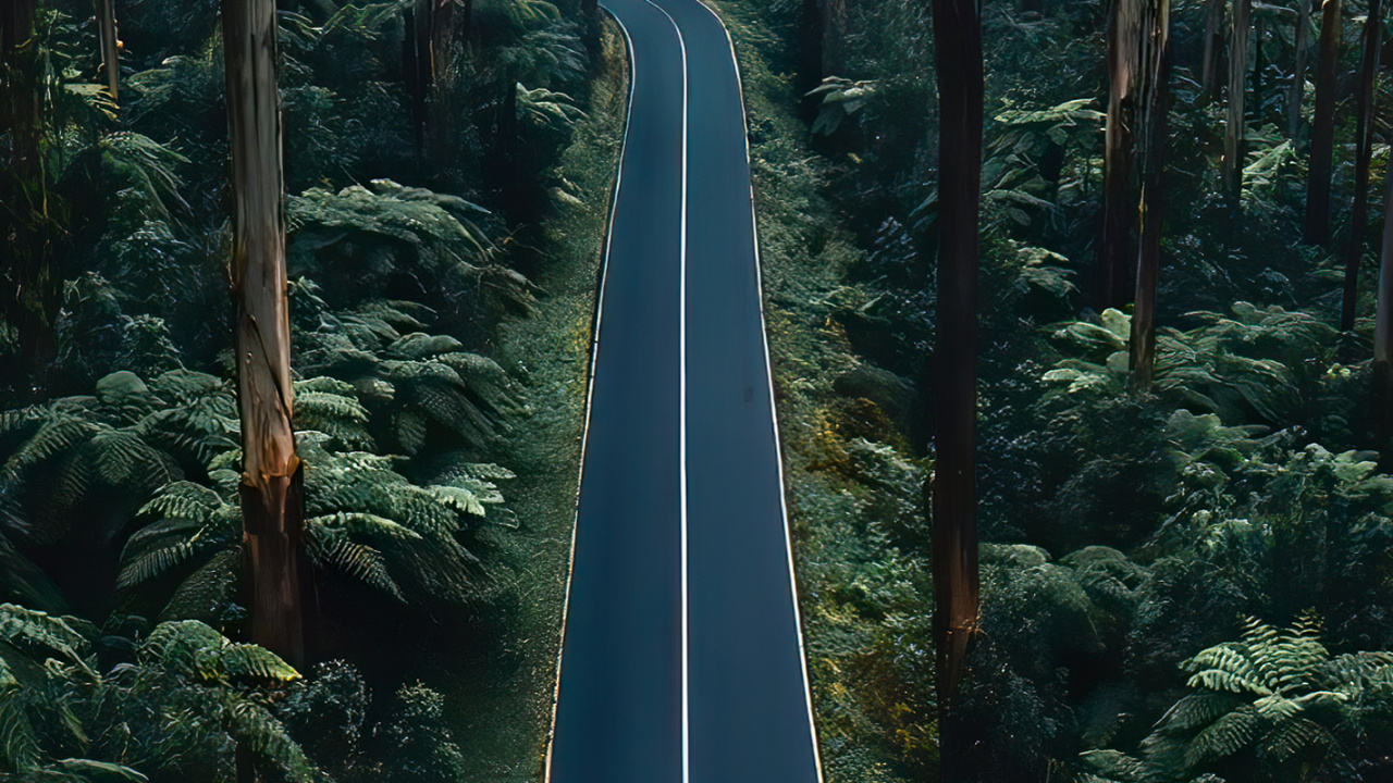 Nature, Beautiful, Portrait, Branch, Road. Wallpaper in 1280x720 Resolution