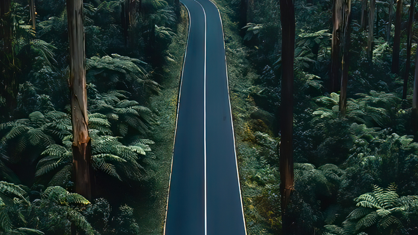 Nature, Belle, Portrait, Route, Végétation. Wallpaper in 1366x768 Resolution