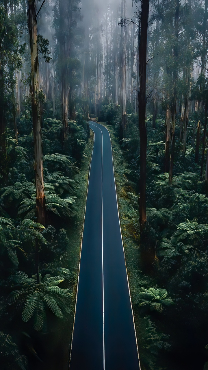 Nature, Belle, Portrait, Route, Végétation. Wallpaper in 720x1280 Resolution