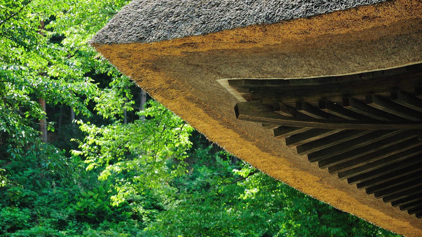 Brown Wooden Roof Near Green Trees During Daytime. Wallpaper in 1366x768 Resolution