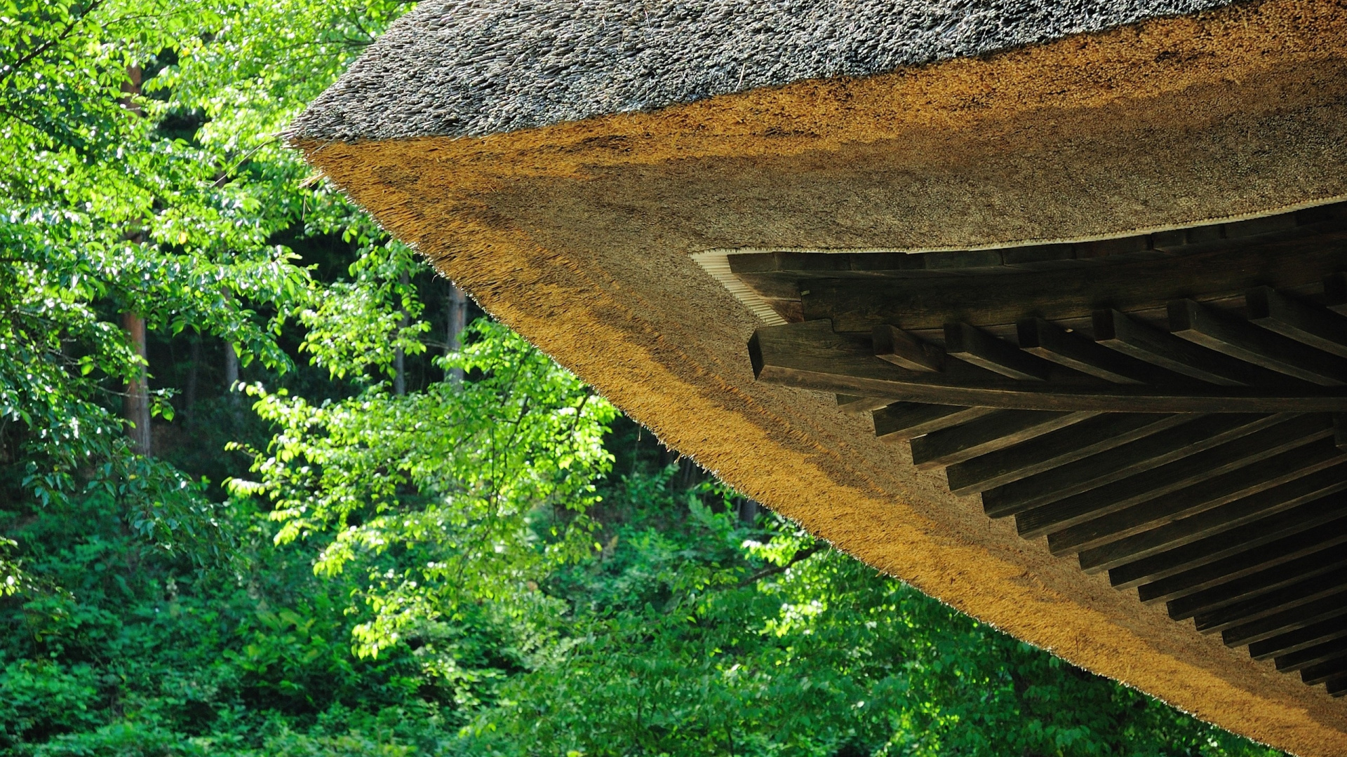 Brown Wooden Roof Near Green Trees During Daytime. Wallpaper in 1920x1080 Resolution