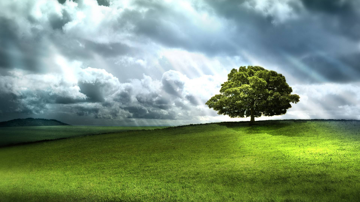 Árbol Verde en el Campo de Hierba Verde Bajo Las Nubes Blancas y el Cielo Azul Durante el Día. Wallpaper in 1366x768 Resolution