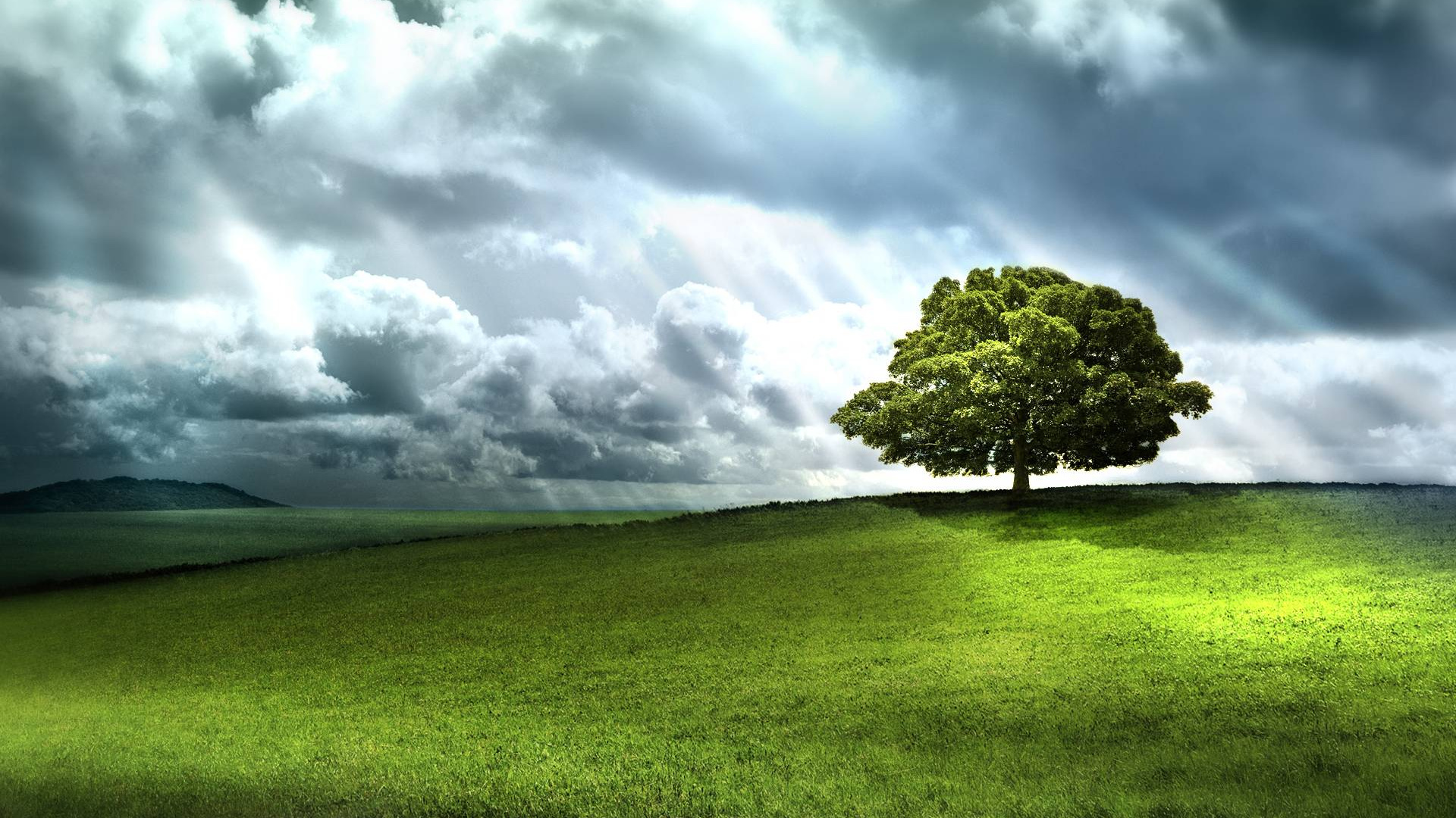 Árbol Verde en el Campo de Hierba Verde Bajo Las Nubes Blancas y el Cielo Azul Durante el Día. Wallpaper in 1920x1080 Resolution