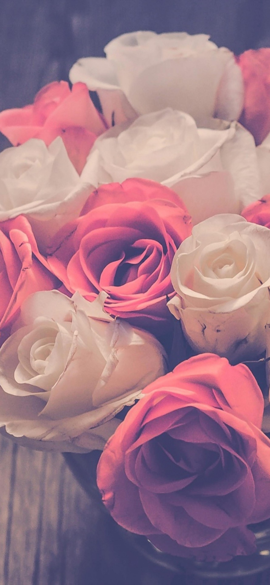 Garden Roses, Floral Design, Flower, Rose, Pink. Wallpaper in 1125x2436 Resolution