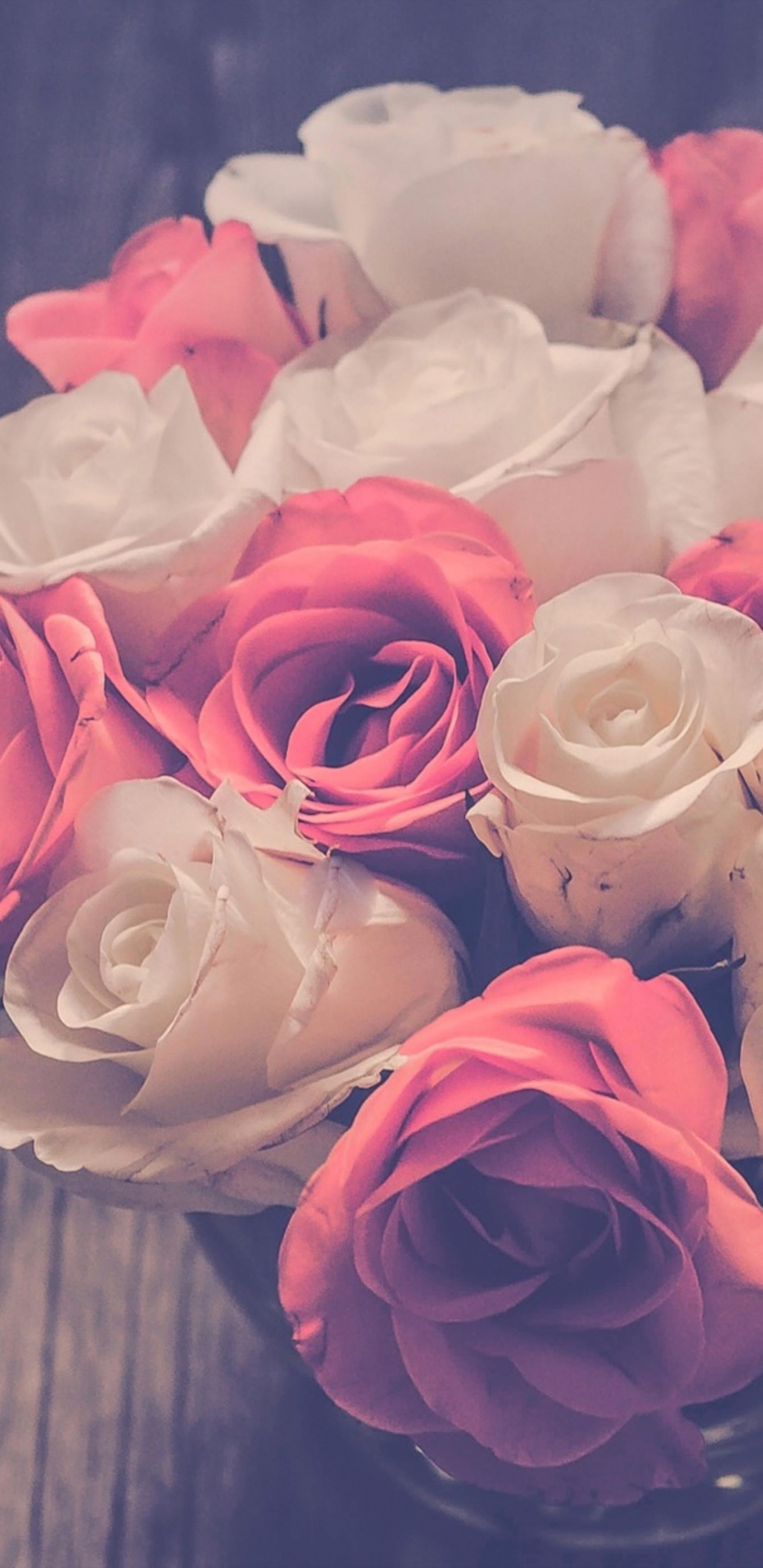 Las Rosas de Jardín, Diseño Floral, Rosa, Ramo de Flores, Blanco. Wallpaper in 1440x2960 Resolution