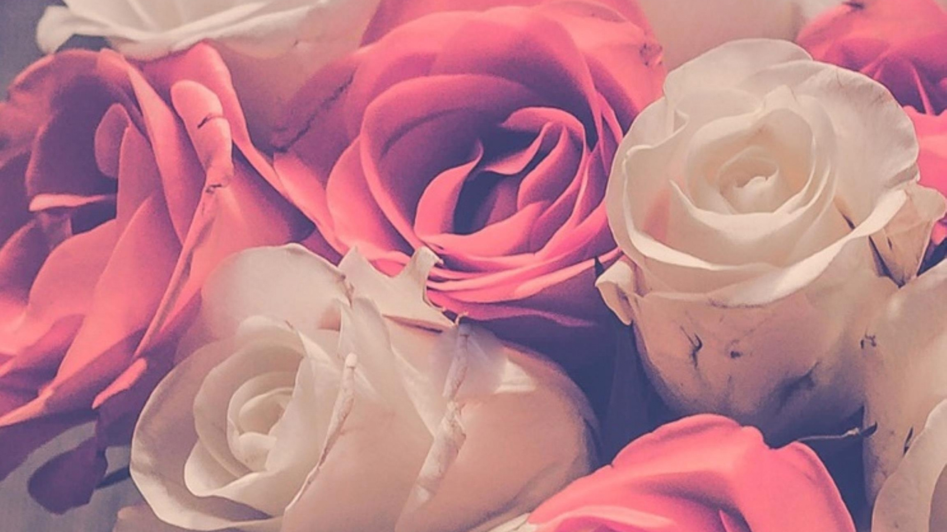 Las Rosas de Jardín, Diseño Floral, Rosa, Ramo de Flores, Blanco. Wallpaper in 1920x1080 Resolution