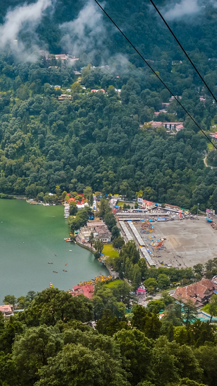 Aerial View of Green Trees and River. Wallpaper in 720x1280 Resolution