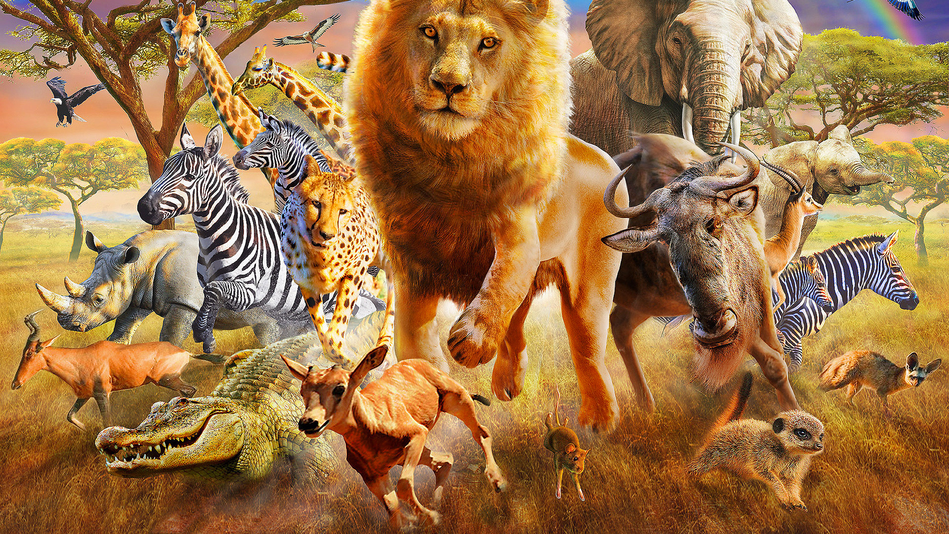 Troupeau de Chevaux Sur le Terrain D'herbe Brune. Wallpaper in 1920x1080 Resolution