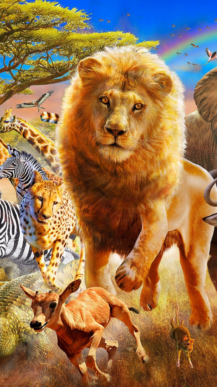 Herd of Horses on Brown Grass Field. Wallpaper in 720x1280 Resolution