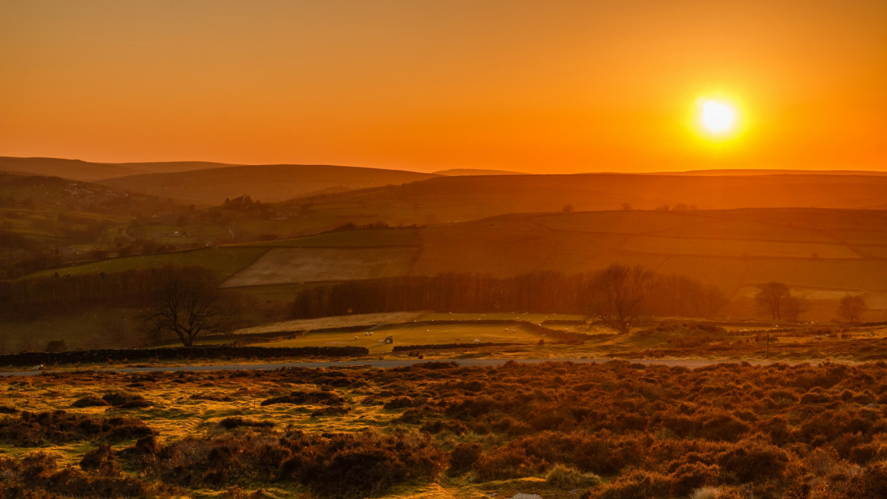 Natur, Atmosphäre, Pflanzen-Gemeinschaft, Afterglow, Naturlandschaft. Wallpaper in 1280x720 Resolution