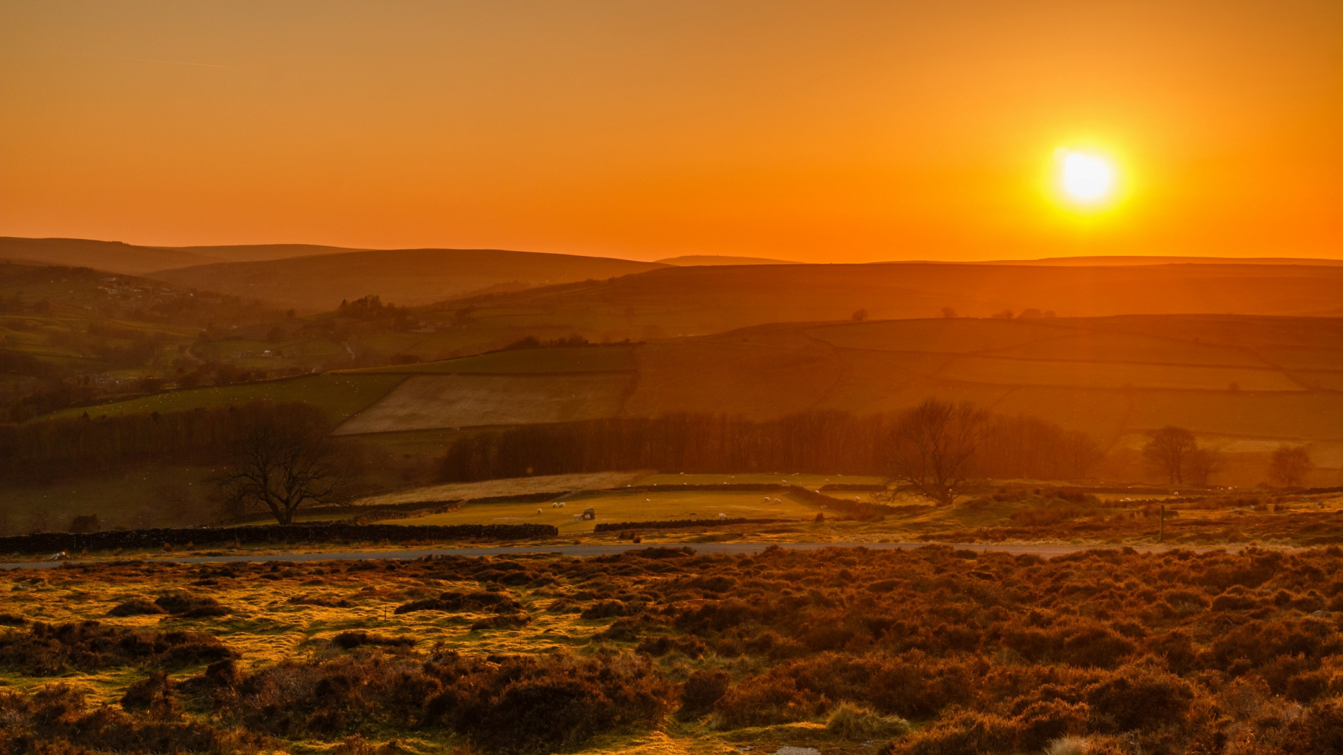 Natur, Atmosphäre, Pflanzen-Gemeinschaft, Afterglow, Naturlandschaft. Wallpaper in 1920x1080 Resolution