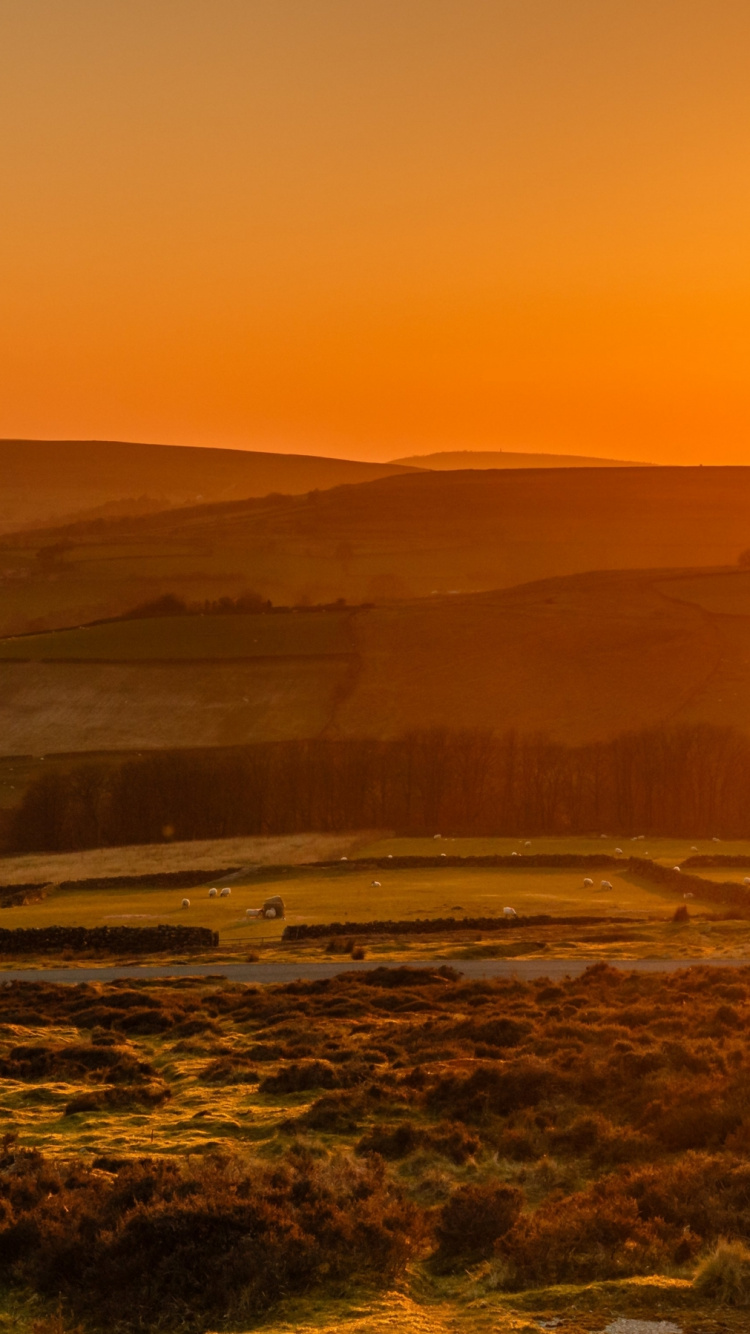Nature, Atmosphère, Plante de la Communauté, Afterglow, Paysage Naturel. Wallpaper in 750x1334 Resolution