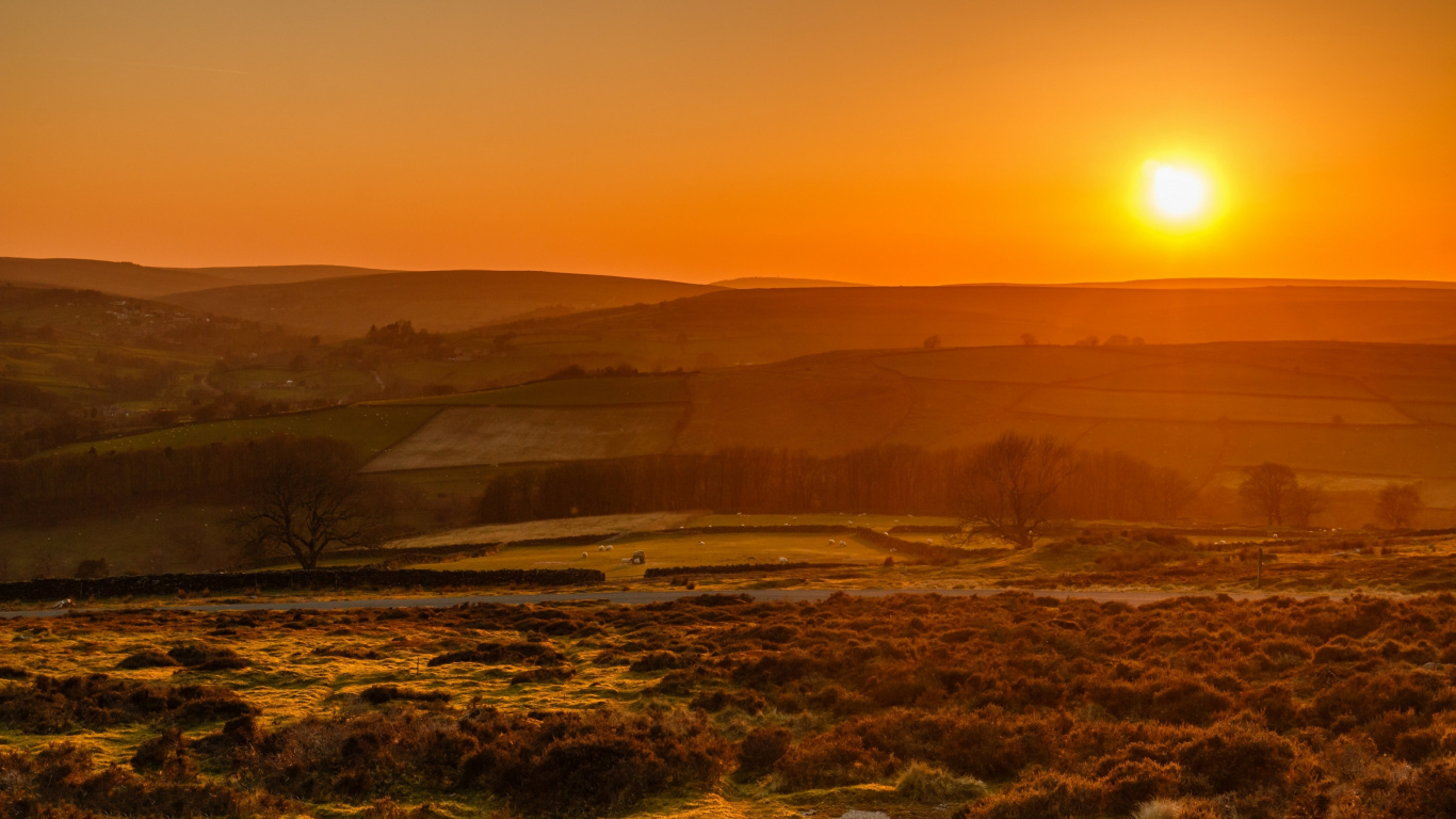 Nature, Plant, Atmosphere, Plant Community, Afterglow. Wallpaper in 1366x768 Resolution