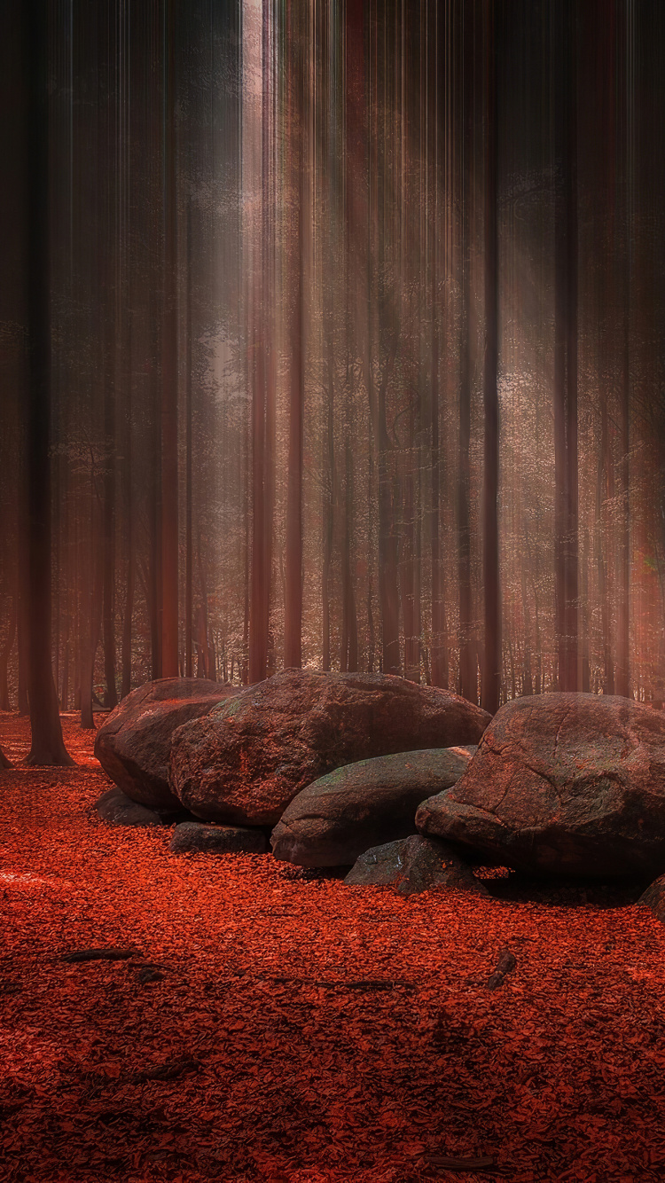 Curtain, Tree, Theater Curtain, Theatrical Scenery, Stage. Wallpaper in 750x1334 Resolution