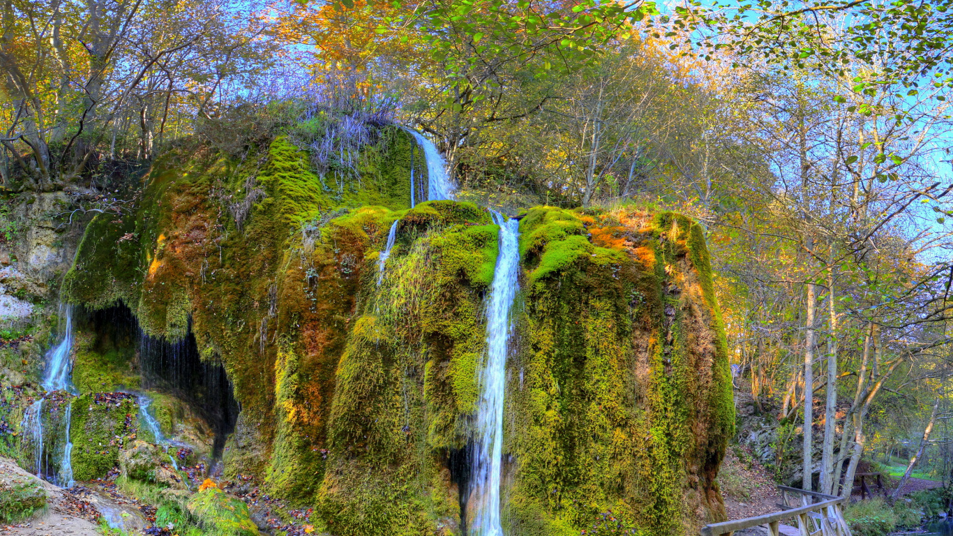 Water Falls in The Middle of Forest. Wallpaper in 1366x768 Resolution