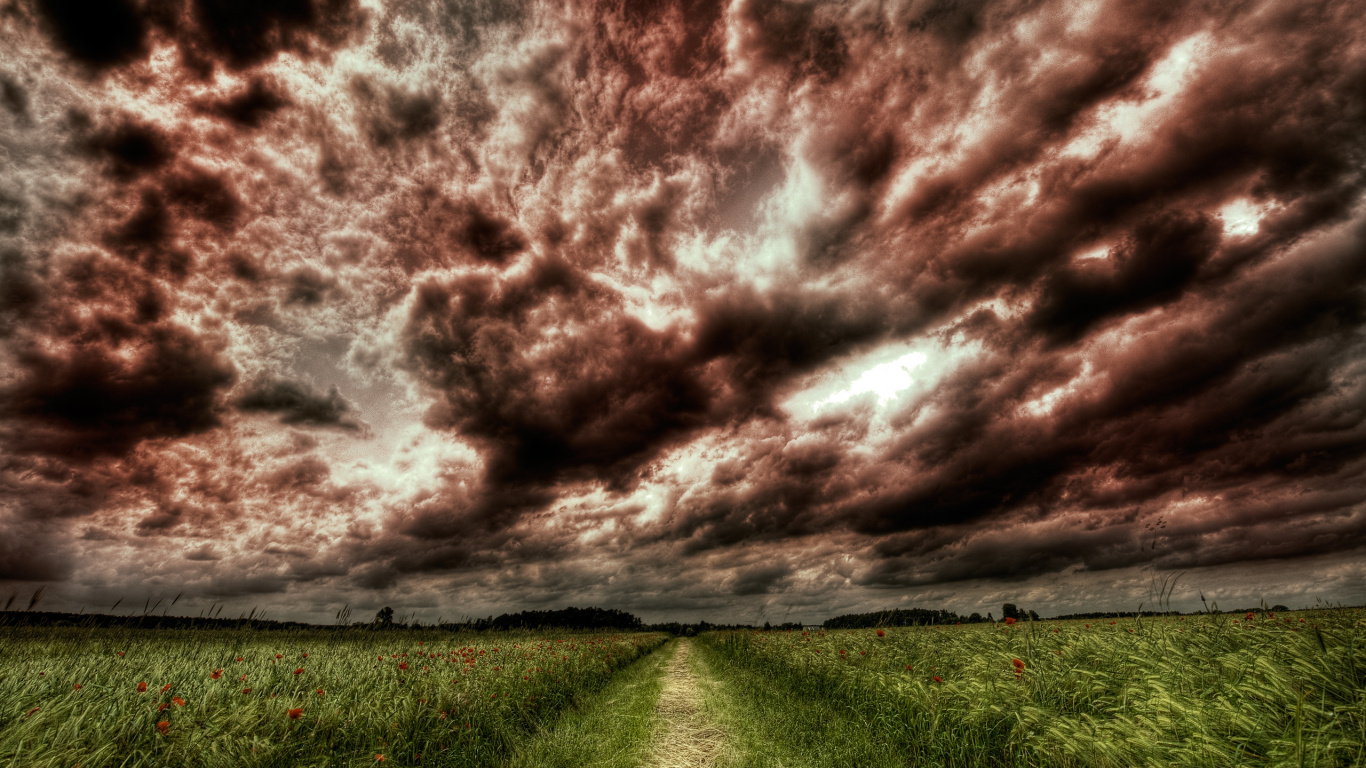 Champ D'herbe Verte Sous Les Nuages Gris. Wallpaper in 1366x768 Resolution