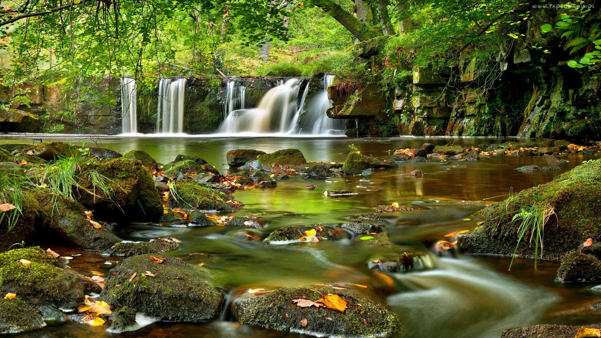 el Agua Cae en Medio de Árboles Verdes. Wallpaper in 1920x1080 Resolution