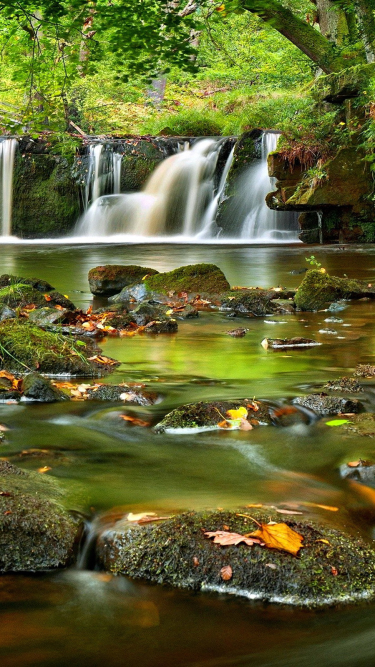 Wasser Fällt Mitten in Grüne Bäume. Wallpaper in 750x1334 Resolution
