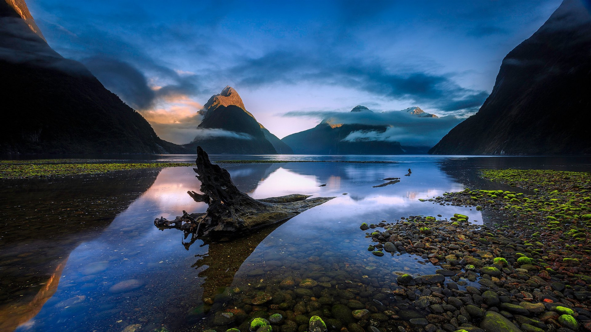 Tagsüber Grüne Und Braune Felsen am Fluss. Wallpaper in 1920x1080 Resolution