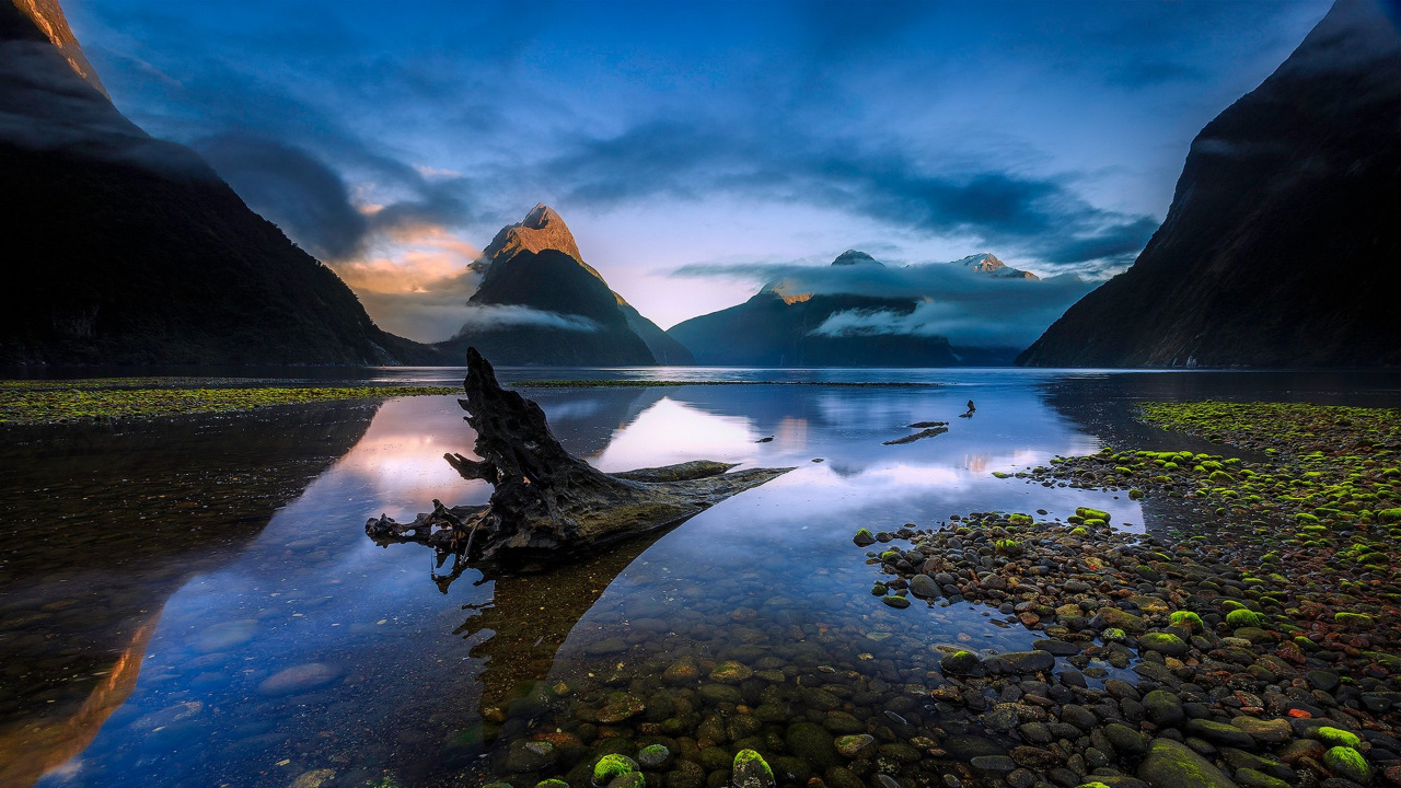 Green and Brown Rocks on River During Daytime. Wallpaper in 1280x720 Resolution