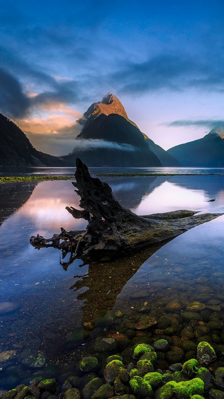 米尔福德, 湖瓦纳卡, 峡湾, 性质, 反射 壁纸 720x1280 允许