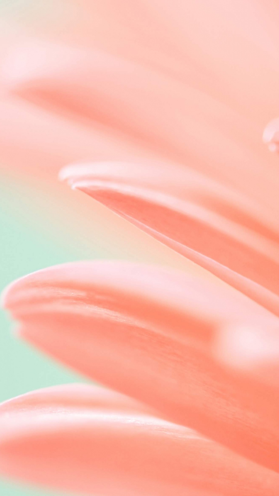 Huawei, Honor Magic 2, Huawei Mediapad M5, Huawei Emui, Smartphone. Wallpaper in 1080x1920 Resolution