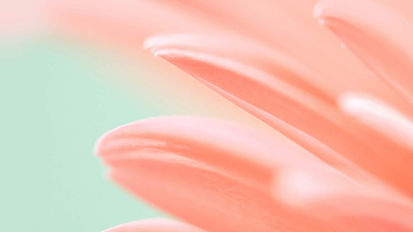 Huawei, Honor Magic 2, Huawei Mediapad M5, Huawei Emui, Smartphone. Wallpaper in 1366x768 Resolution