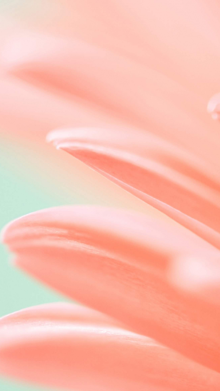 Huawei, Honor Magic 2, Huawei Mediapad M5, Huawei Emui, Smartphone. Wallpaper in 750x1334 Resolution