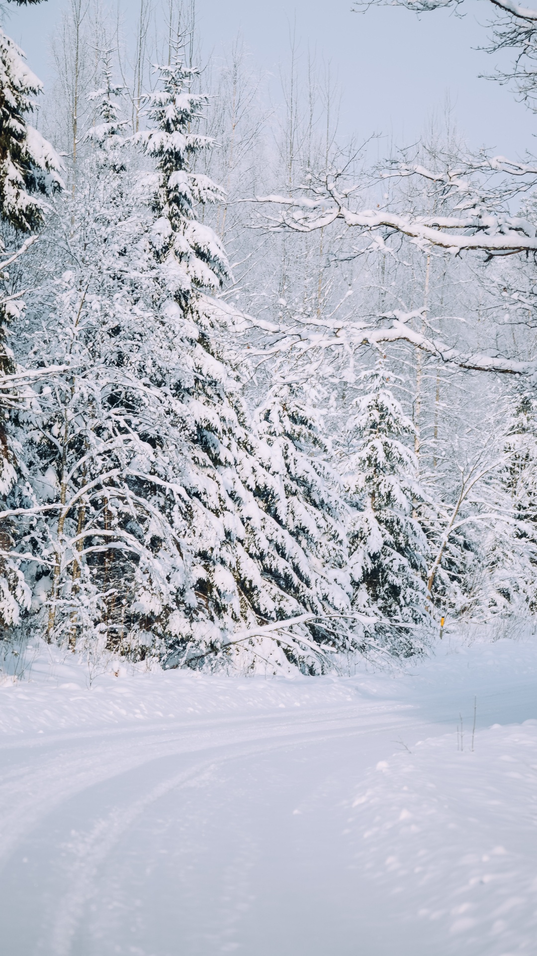 Snow, Snow Road, Winter, Tree, Frost. Wallpaper in 1080x1920 Resolution