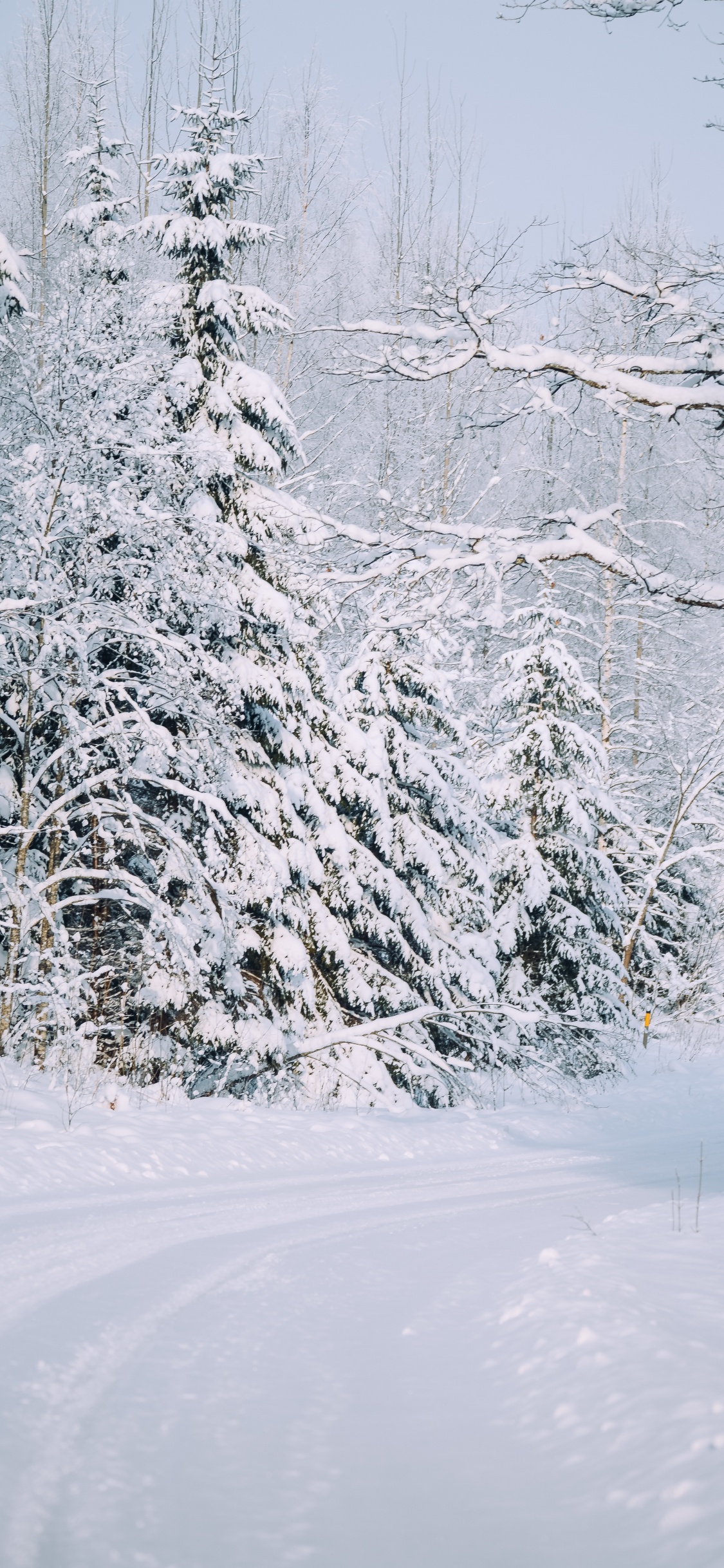 Nieve, la Nieve de la Carretera, Invierno, Helada, Congelación. Wallpaper in 1125x2436 Resolution