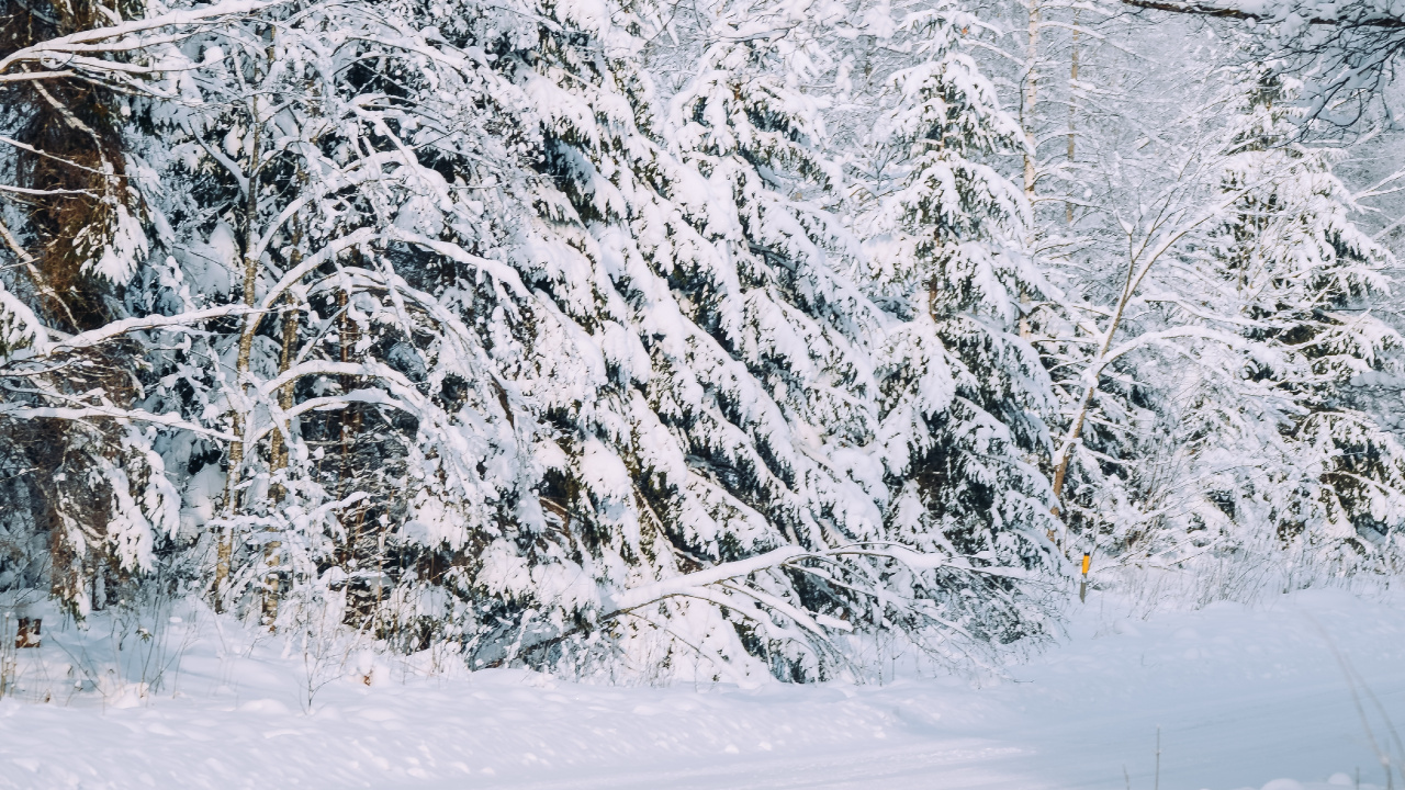 Neige, la Neige de la Route, Hiver, Gel, Congélation. Wallpaper in 1280x720 Resolution