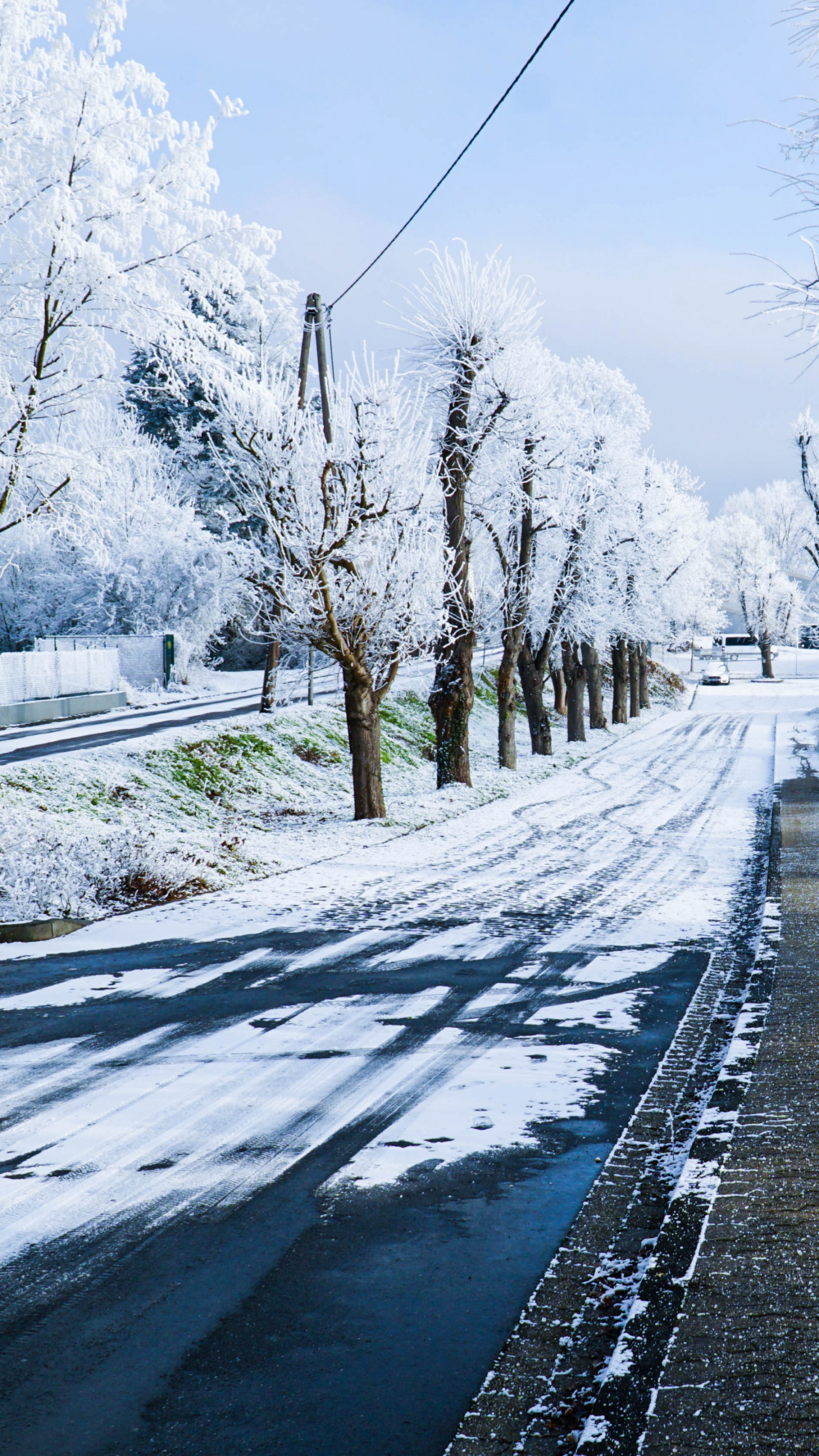 Route Couverte de Neige Entre Les Arbres Nus Pendant la Journée. Wallpaper in 1440x2560 Resolution