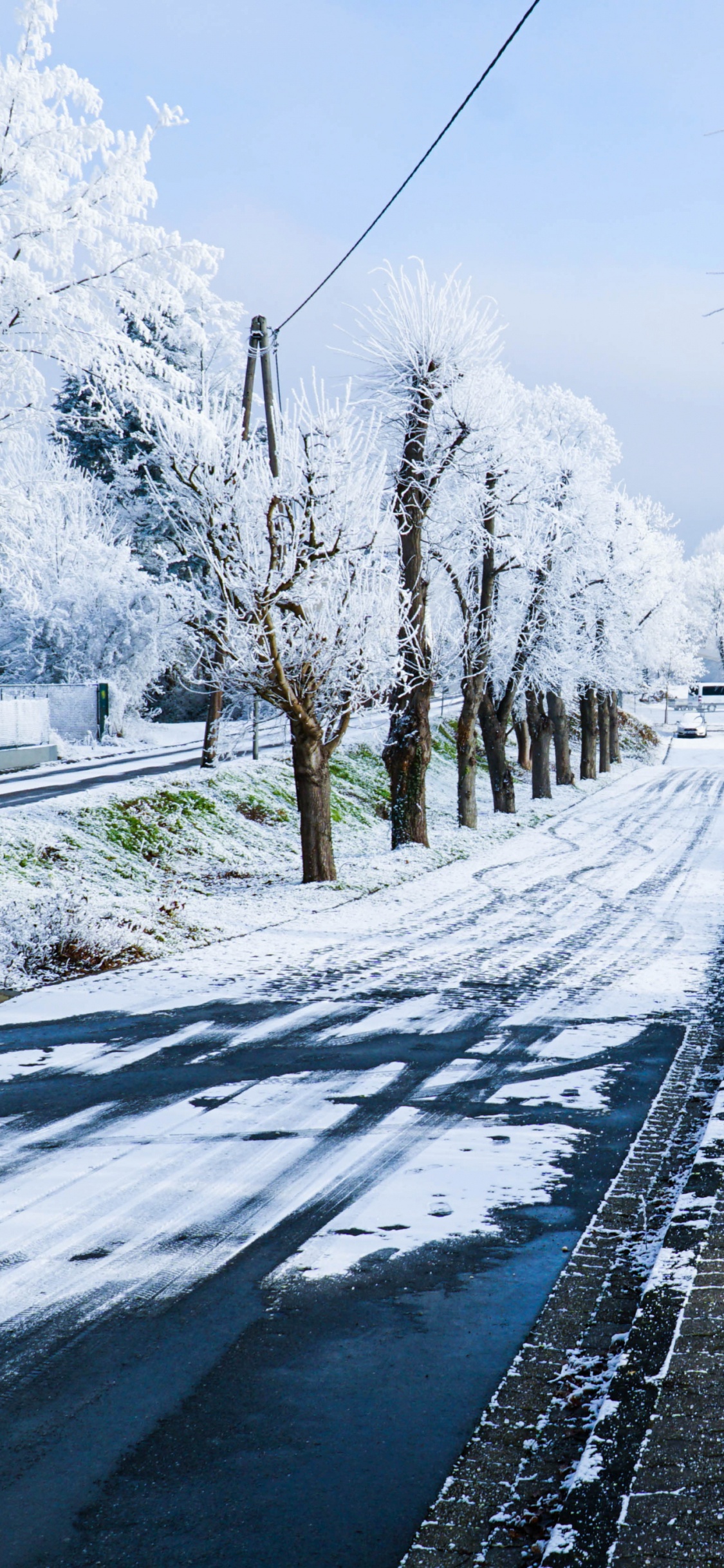 Schneebedeckte Straße Zwischen Kahlen Bäumen Tagsüber. Wallpaper in 1125x2436 Resolution