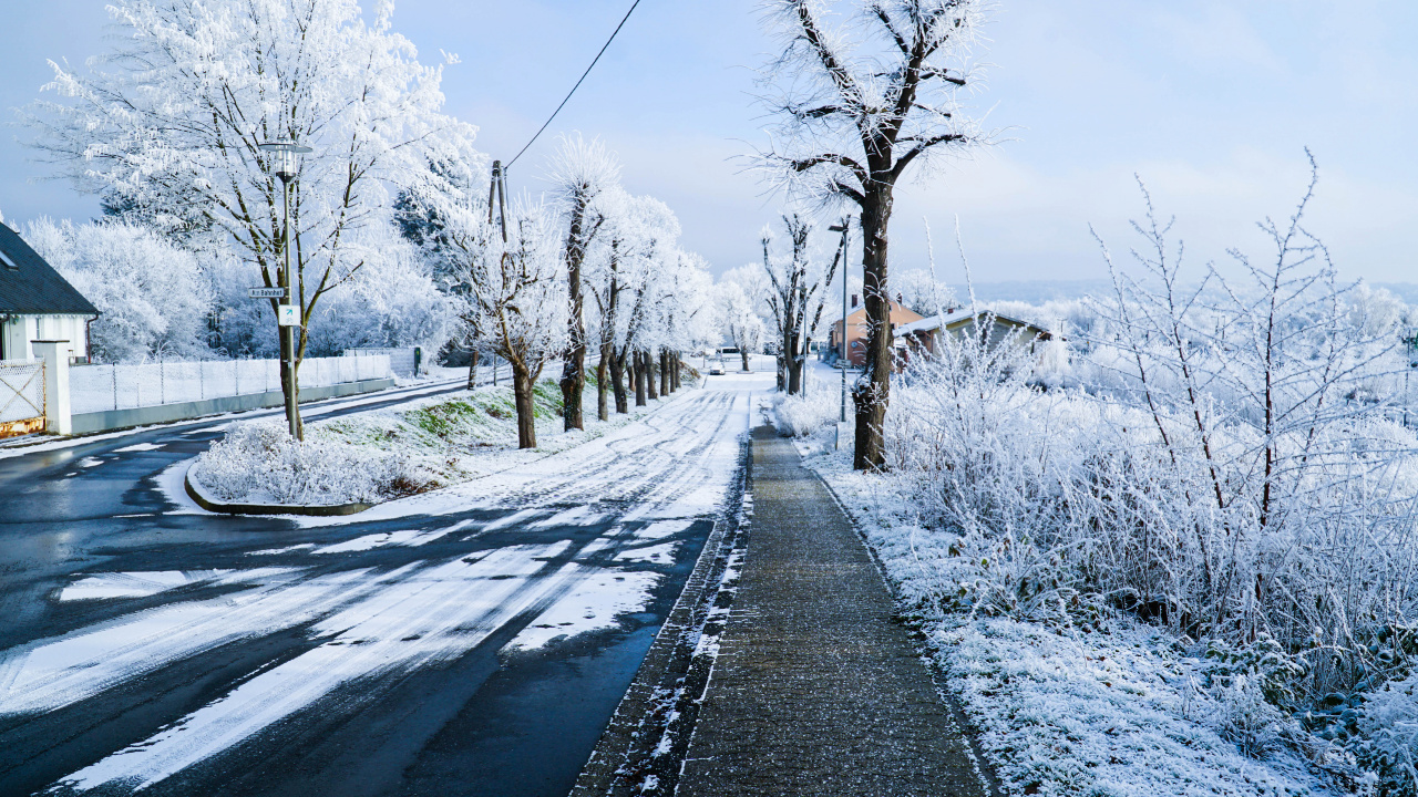 Schneebedeckte Straße Zwischen Kahlen Bäumen Tagsüber. Wallpaper in 1280x720 Resolution