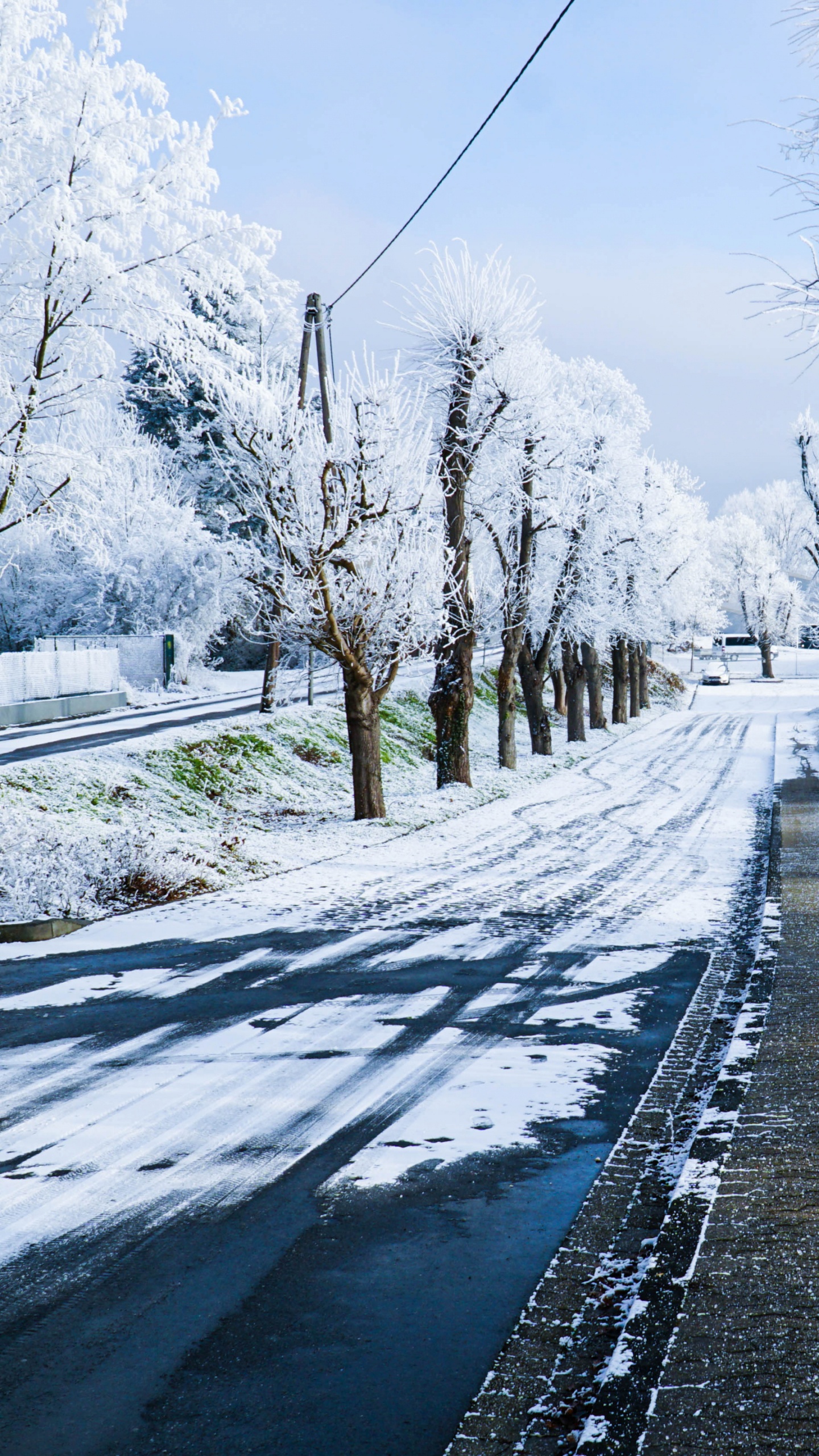 Schneebedeckte Straße Zwischen Kahlen Bäumen Tagsüber. Wallpaper in 1440x2560 Resolution