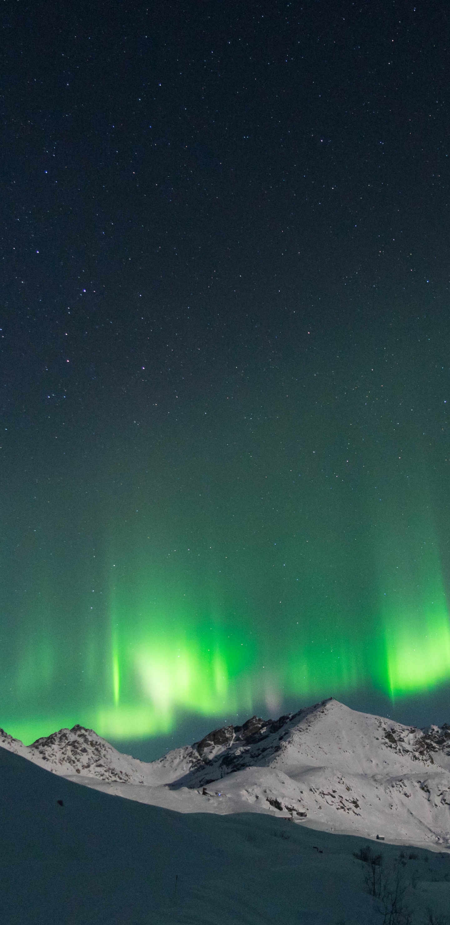 Naturaleza, Aurora, Alaska, Montañas Nevadas, Nieve. Wallpaper in 1440x2960 Resolution