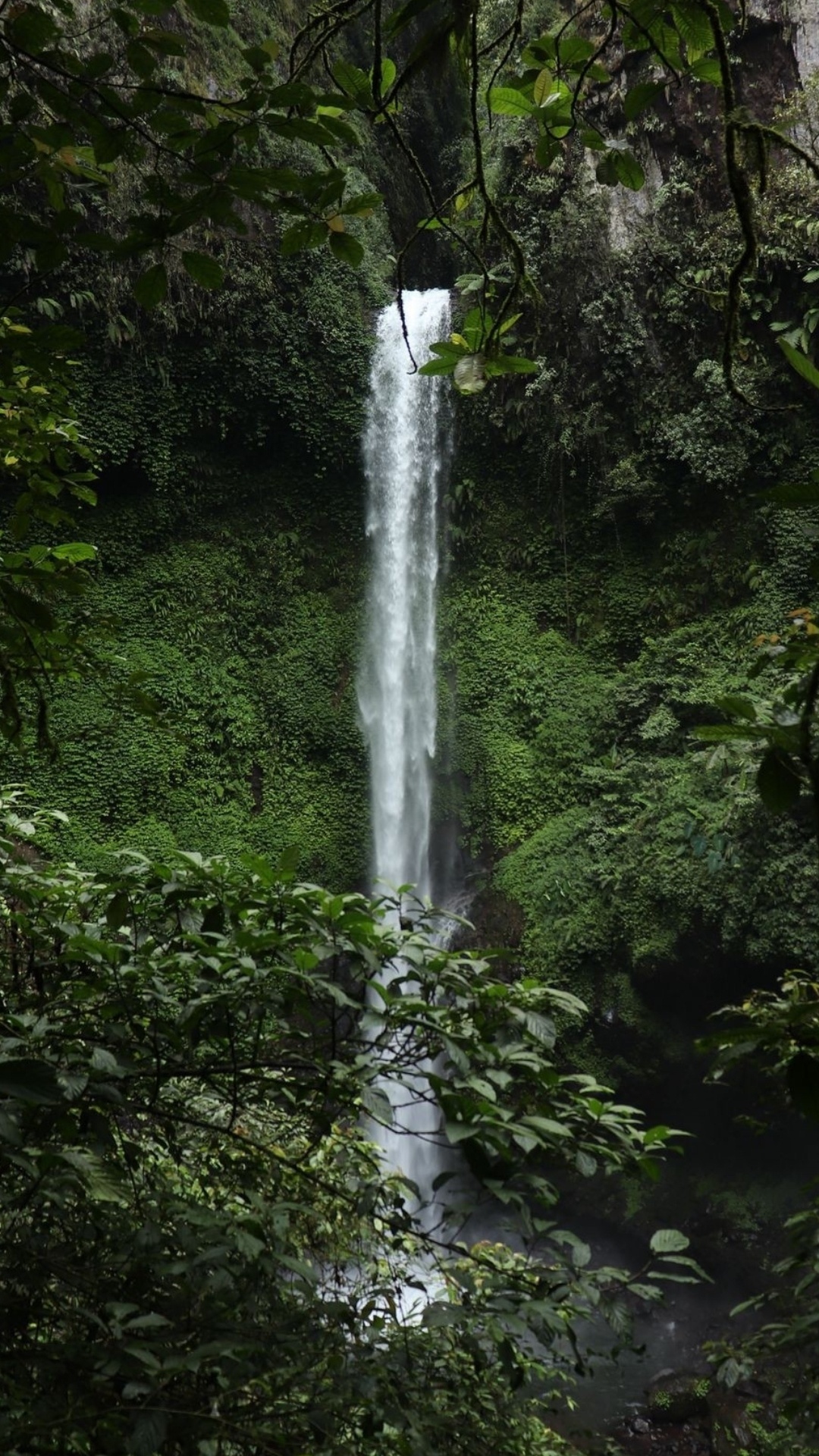 Waterfall, Rainforest, Water, Ecoregion, Plant. Wallpaper in 1080x1920 Resolution