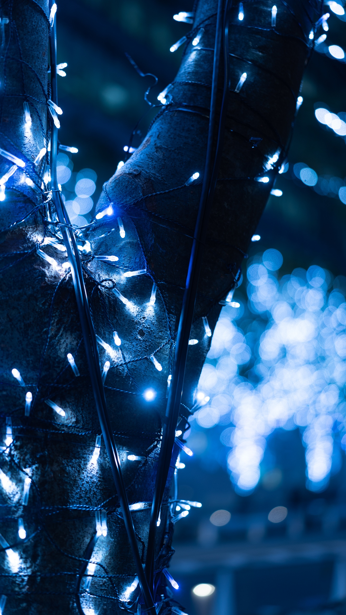 Blaue Und Weiße Lichterketten. Wallpaper in 1440x2560 Resolution